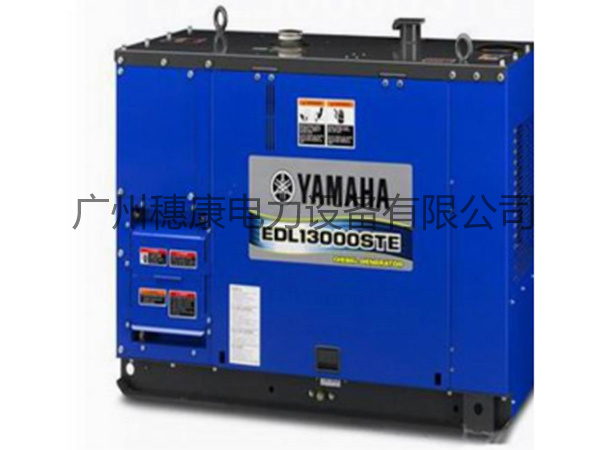 雅马哈汽油发电机 EDL30000STE